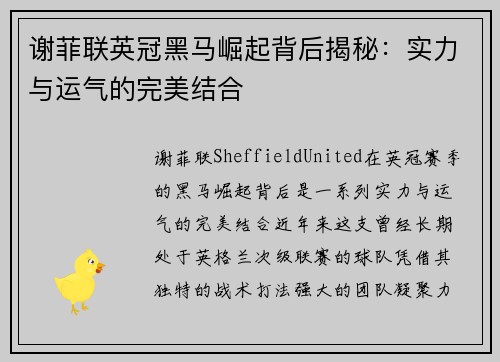 谢菲联英冠黑马崛起背后揭秘：实力与运气的完美结合