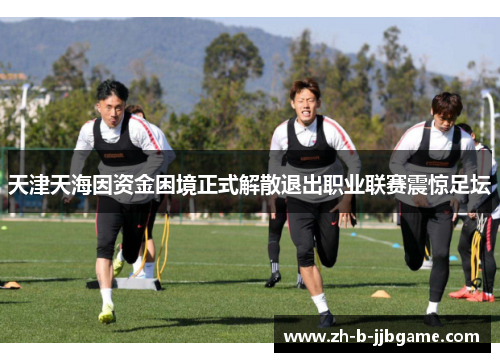 天津天海因资金困境正式解散退出职业联赛震惊足坛